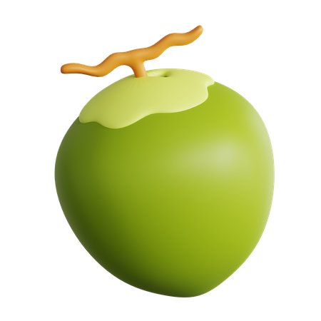 Coconut  3D Icon