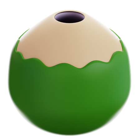 Coconut  3D Icon