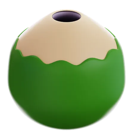 Coconut  3D Icon