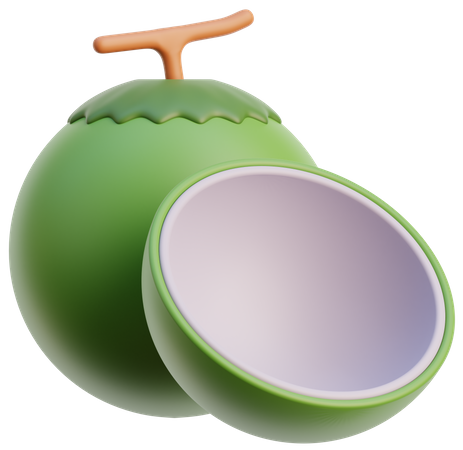 Coconut  3D Icon