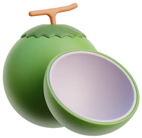 Coconut  3D Icon