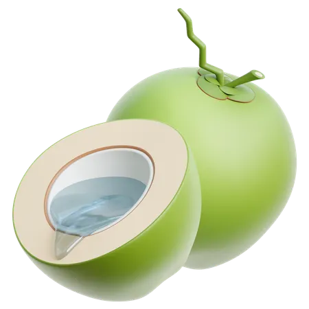 Coconut  3D Icon