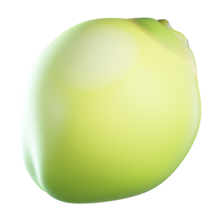 Coconut  3D Icon