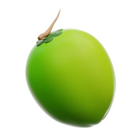 Coconut  3D Icon