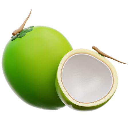 Coconut  3D Icon