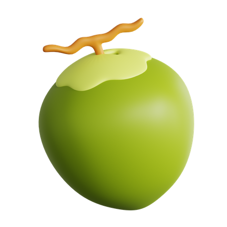 Coconut  3D Icon
