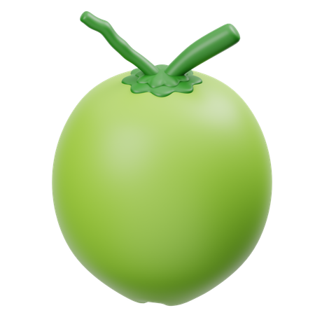 Coconut  3D Icon