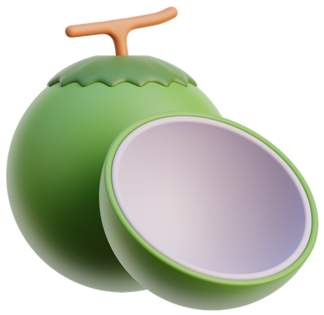 Coconut  3D Icon