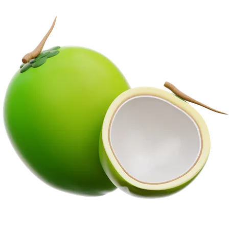 Coconut 3D Illustration