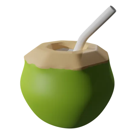 Coconut drink  3D Icon