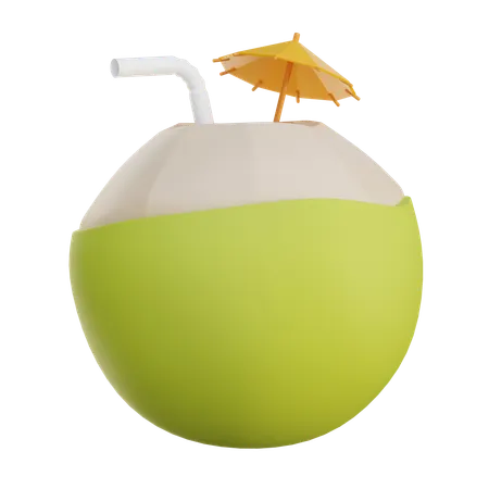Coconut Drink  3D Icon