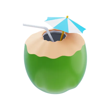 Coconut Drink  3D Icon