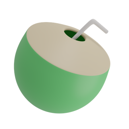 Coconut Drink  3D Illustration