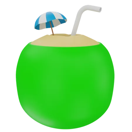 Coconut Drink  3D Illustration