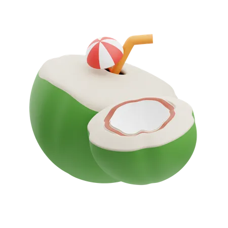 Coconut Drink  3D Illustration