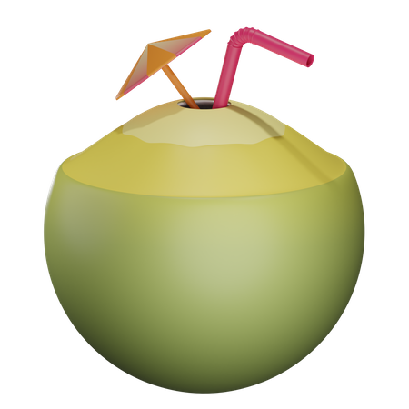 Coconut Drink  3D Illustration