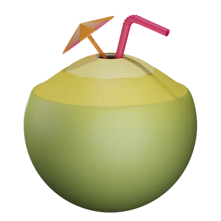 Coconut Drink  3D Illustration