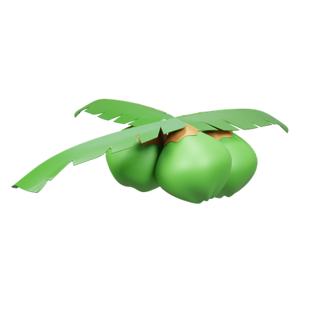 Coconut Fruit  3D Icon