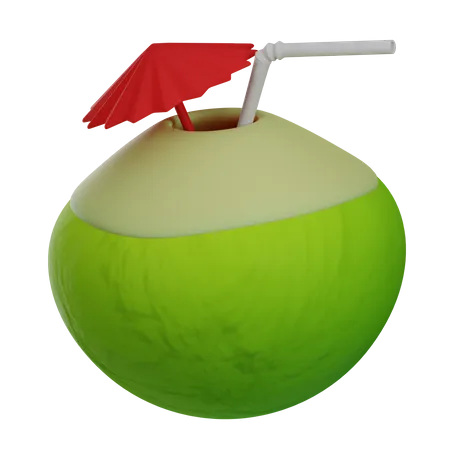 Coconut Fruit  3D Illustration