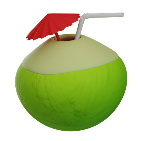 Coconut Fruit 3D Illustration
