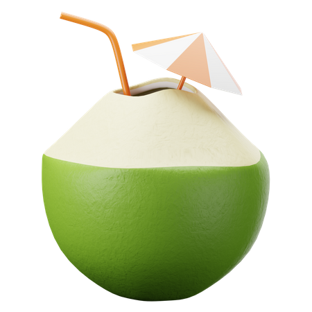 Coconut Juice  3D Illustration