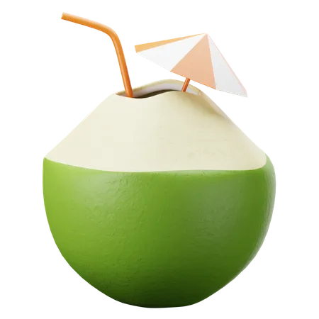 Coconut Juice  3D Illustration