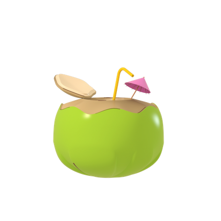 Coconut Juice  3D Illustration