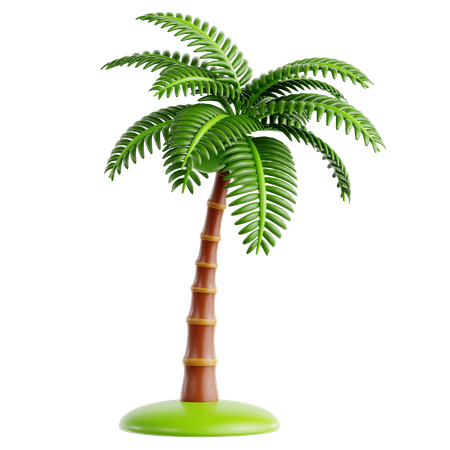 Coconut Palm  3D Icon
