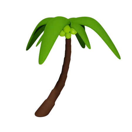 Coconut palm  3D Icon