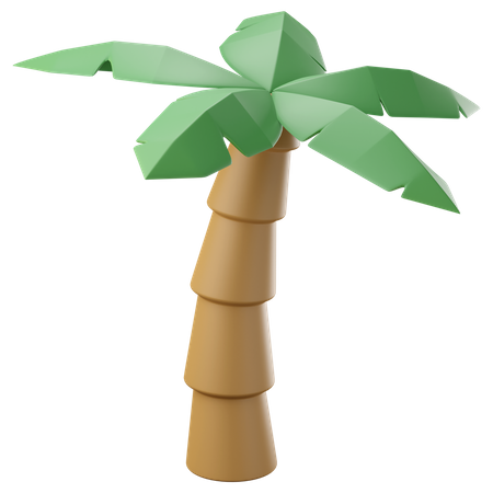 Coconut palm tree  3D Icon