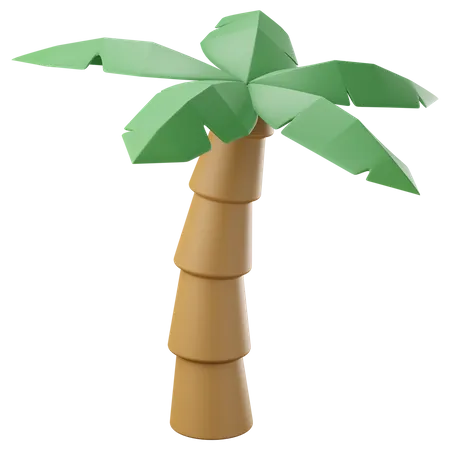 Coconut palm tree  3D Icon