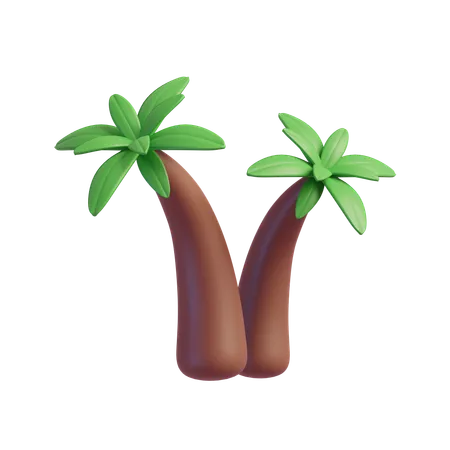 Coconut tree  3D Icon