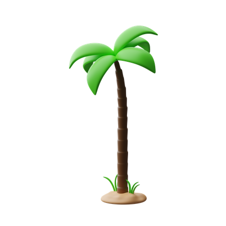 Coconut tree  3D Icon