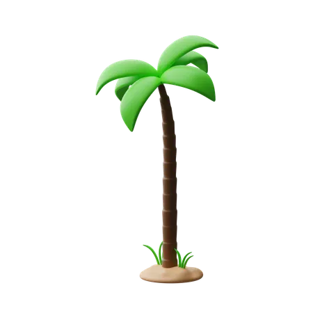 Coconut Tree Download This Item Now 3D Icon