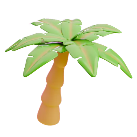 Coconut Tree  3D Icon