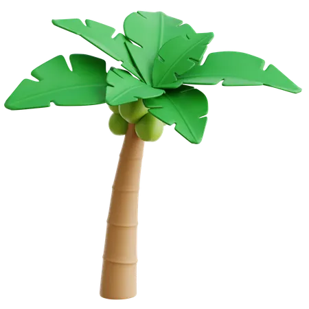 Coconut Tree  3D Icon