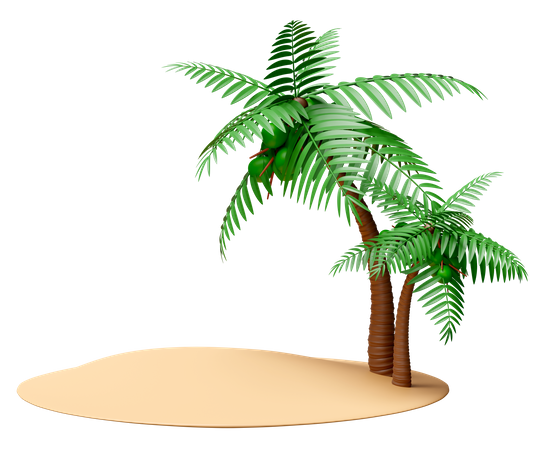 Coconut Tree  3D Icon