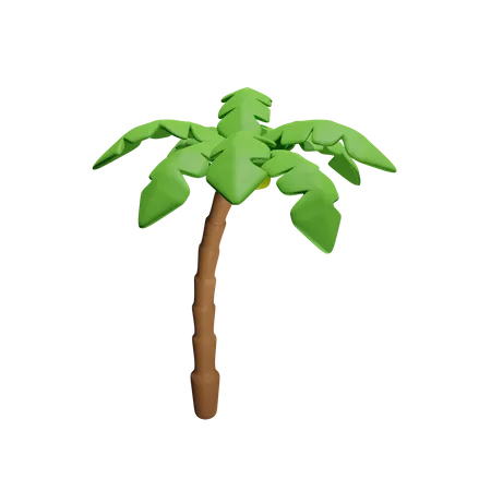 Coconut Tree  3D Icon