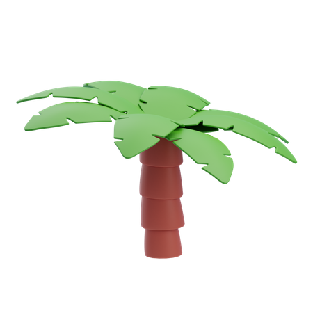 Coconut Tree  3D Icon