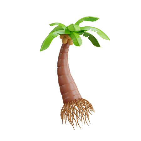 Coconut Tree  3D Icon