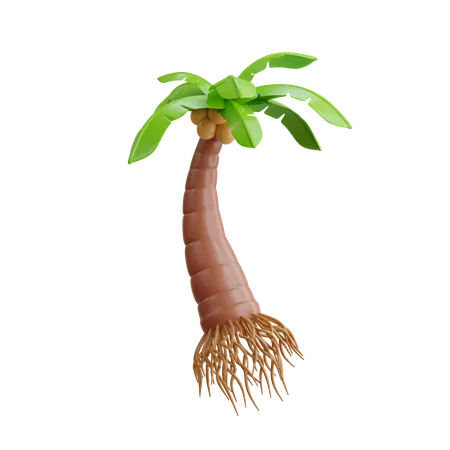 Coconut Tree  3D Icon