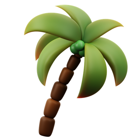 Coconut Tree  3D Icon