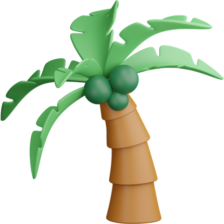 Coconut Tree  3D Icon