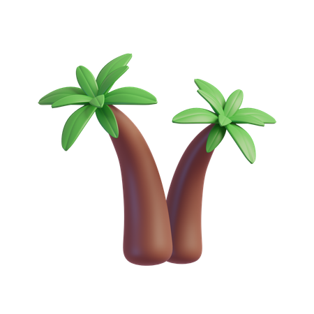 Coconut tree  3D Icon