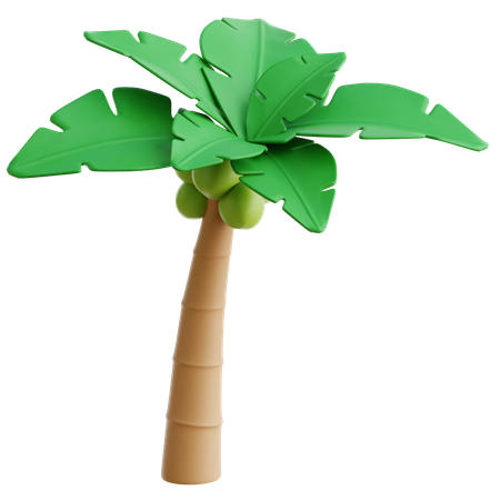 Coconut Tree  3D Icon