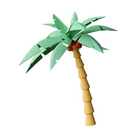 Coconut Tree  3D Icon