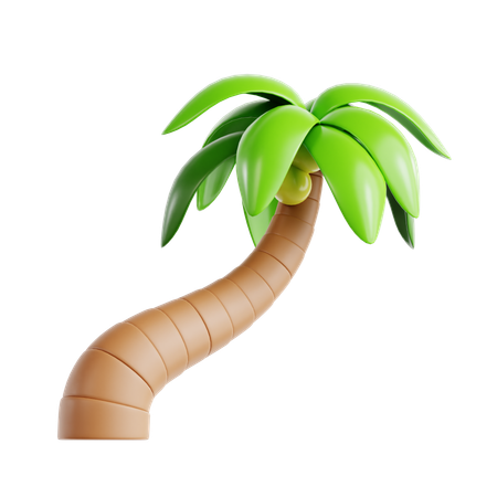 Coconut Tree  3D Icon