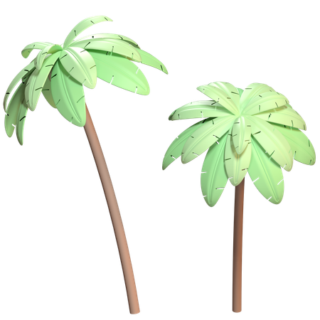 Coconut Tree  3D Icon