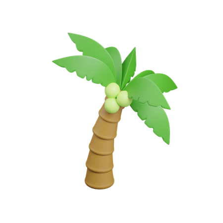 Coconut Tree  3D Icon