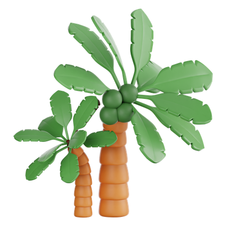 Coconut Tree  3D Icon